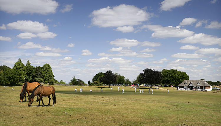 Bolton's Bench, Lyndhurst, New Forest, Hampshire